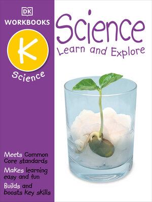 DK Workbooks - ebook